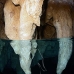 cave_cc_v_0086_pal3440.jpg